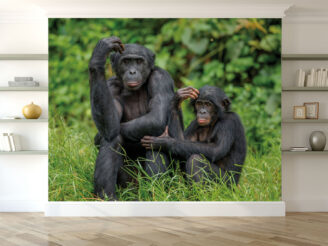 chimps in grass wallpaper mockup