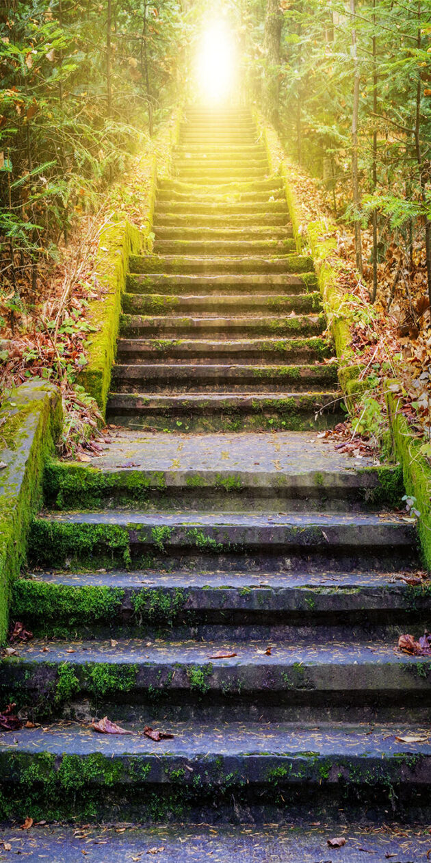 Steps leading up to the sun. Way to God . bright light from heaven . Religious background . Sunlight in the green forest . Door to orange sunset . Light from sky .