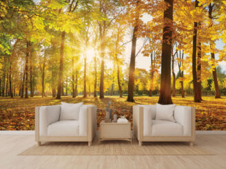 Minimalism,white interior in modern style with wood armchair and wooden floor.3d rendering